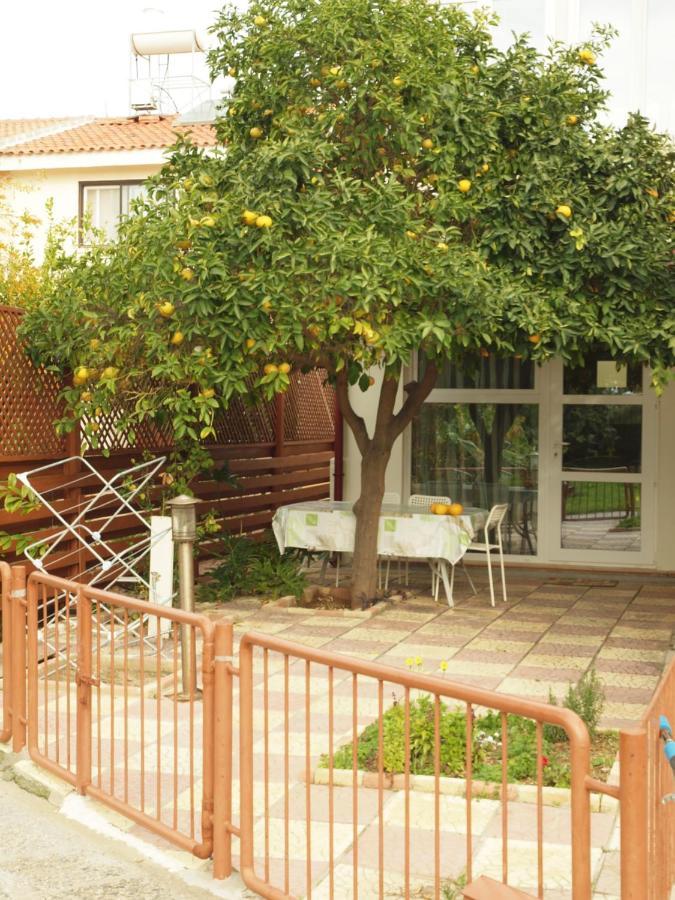 Moon-Light Studio Larnaca Exterior photo