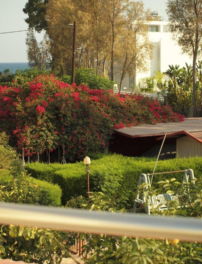Moon-Light Studio Larnaca Exterior photo